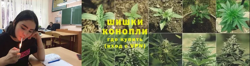 Шишки марихуана VHQ  blacksprut рабочий сайт  Кудрово  где можно купить  